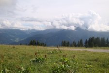 dsc08555