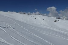 p1000571