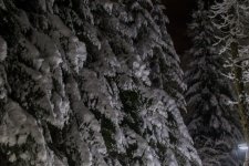 _dsc7734