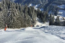 img_8239