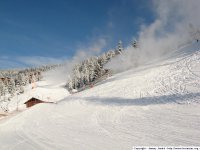chenavelle-girolles-canons-25-01-2007