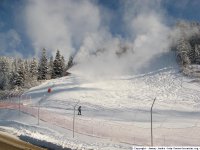 girolles-canons-25-01-2007