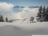 vallee-25-01-2007