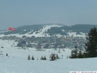 saisies-17-03-2007